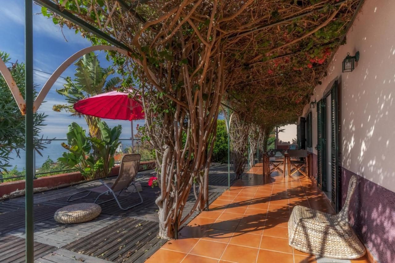 Cozy Villa Flora By Hr Madeira Estreito Da Calheta Extérieur photo